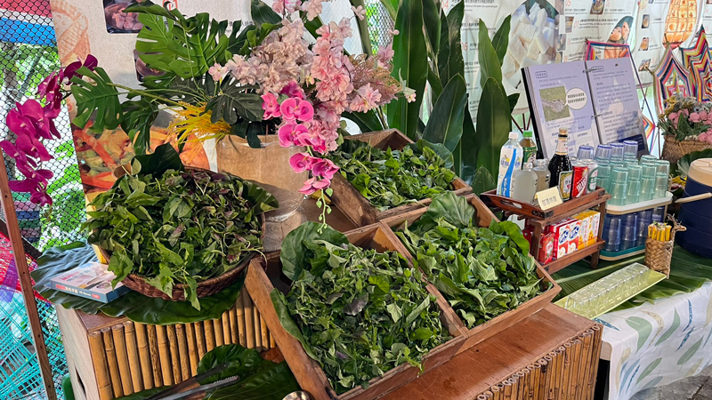 門諾基金會、家庭照顧者支持服務、喘息之旅、長照壓力、家照課程、北富銀、織羅部落、米彩繪、玉里春日