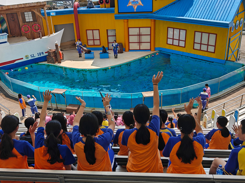 門諾基金會，光復國中，樺加莎，光復風災，災後支持，海洋公園，兒少教育，弱勢支持